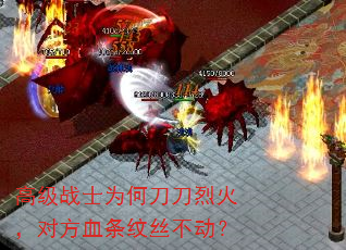 ߼սʿΪεһ𣬶ԷѪ˿