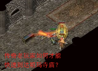 βܿٵ