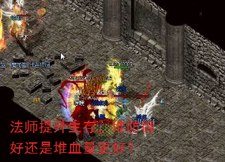 ʦ棬ѷûǶѪã