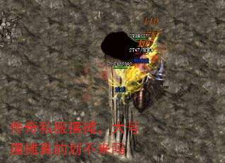 ˽̯Ű̯Ļ