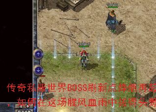 ˽BOSSˢµⳡȷѪаεͷ