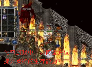 ϷУȫλӢ۵