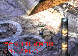 ˽һЧPKⱻɱ