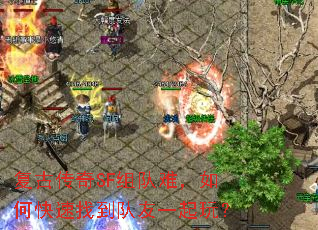 ŴSFѣοҵһ棿