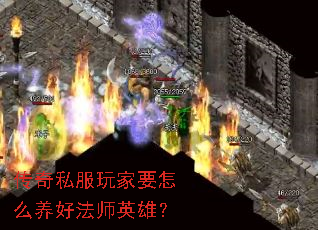 ˽Ҫô÷ʦӢۣ