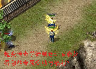 䴫ѧͽܻЩר븣