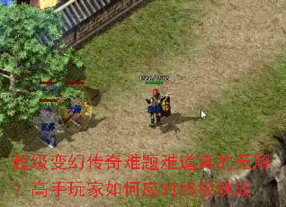 ôѵ޽⣿Ӧռս