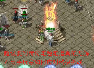 ôѵ޽⣿Ӧռս