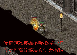 ϷӢ۲ָӦԣЧ