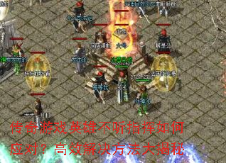 ϷӢ۲ָӦԣЧ