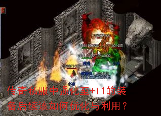 ˽ǿ+11װŻã