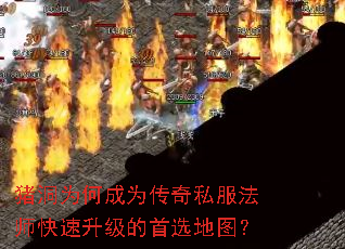 ΪγΪ˽ʦѡͼ