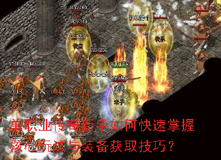 ְҵοպ淨װȡɣ