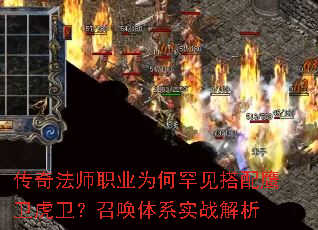 淨ʦְҵΪκӥٻϵʵս