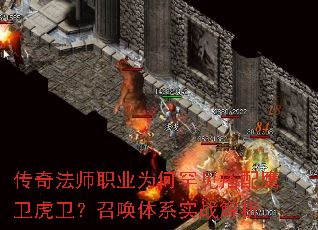 淨ʦְҵΪκӥٻϵʵս