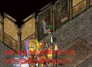 ְҵʧӢοٸָս