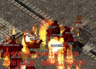˽лBOSSܵЩװˢȫ