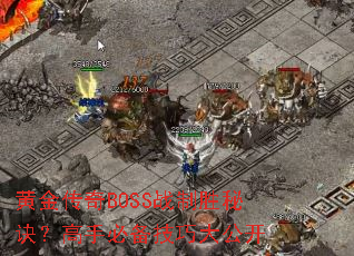 ƽBOSSսʤؾֱرɴ󹫿
