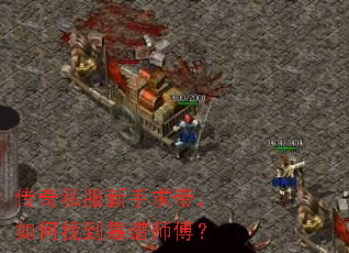 ˽ҵʦ