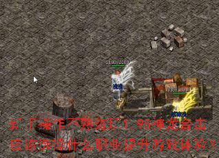 ֲ1.95ϻӦѡʲôְҵϷ飿