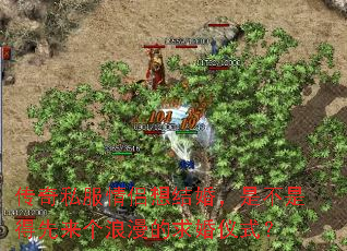 ˽飬ǲǵʽ