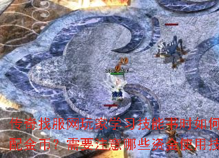传奇找服网玩家学习技能书时如何合理分配金币?需要注意哪些资金使用技巧? 传奇找服网玩家学习技能书时如何合理分配金币?需要注意哪些资金使用技巧?