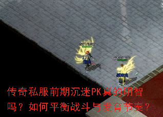 传奇私服前期沉迷PK真的明智吗?如何平衡战斗与发育节奏? 传奇私服前期沉迷PK真的明智吗?如何平衡战斗与发育节奏?