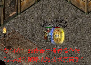 如何在1.85传奇中通过操作技巧与战斗策略成为技术流高手? 如何在1.85传奇中通过操作技巧与战斗策略成为技术流高手?