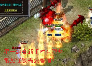 星一组合新手村有哪些常见怪物需要警惕? 星一组合新手村有哪些常见怪物需要警惕?