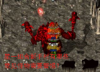 星一组合新手村有哪些常见怪物需要警惕? 星一组合新手村有哪些常见怪物需要警惕?