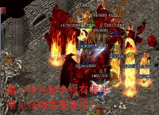 星一组合新手村有哪些常见怪物需要警惕? 星一组合新手村有哪些常见怪物需要警惕?