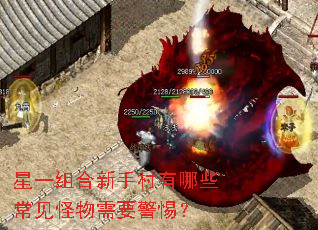 星一组合新手村有哪些常见怪物需要警惕? 星一组合新手村有哪些常见怪物需要警惕?