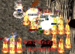 ְҵ汣ڽָħμʵսȫ