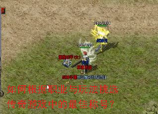 θְҵ淨ѡϷеѳƺţ