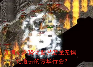 如何加入势倾世界潜龙无惧——记逝去的芳华行会? 如何加入势倾世界潜龙无惧——记逝去的芳华行会?