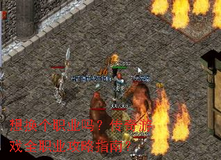 뻻ְҵ𣿴Ϸȫְҵָϣ