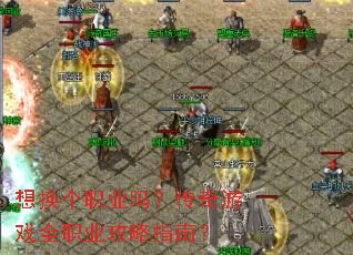 뻻ְҵ𣿴Ϸȫְҵָϣ