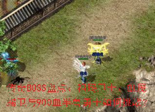 BOSS̵㣺ʿħЫ900Ѫʿս