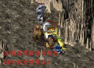 如何获得轩辕传奇私服中的天煞灵宠? 如何获得轩辕传奇私服中的天煞灵宠?