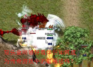 双头金刚够好看伴侣如何成为传奇游戏中的最强搭档? 双头金刚够好看伴侣如何成为传奇游戏中的最强搭档?