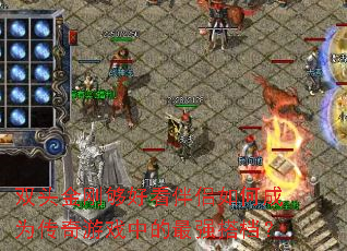 双头金刚够好看伴侣如何成为传奇游戏中的最强搭档? 双头金刚够好看伴侣如何成为传奇游戏中的最强搭档?