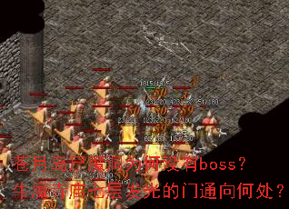 µʬħΪûbossţħ߲㷢ͨδ