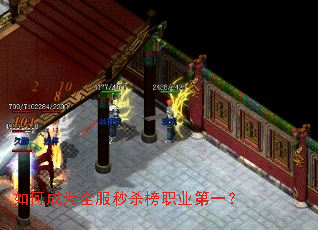 如何成为全服秒杀榜职业第一? 如何成为全服秒杀榜职业第一?