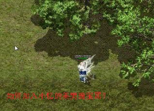 如何加入小忆的美男瑰宝团? 如何加入小忆的美男瑰宝团?