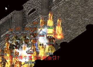 如何获得牛魔祭司的指引? 如何获得牛魔祭司的指引?