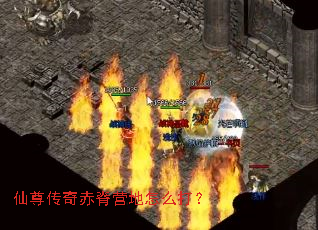 仙尊传奇赤脊营地怎么打? 仙尊传奇赤脊营地怎么打?