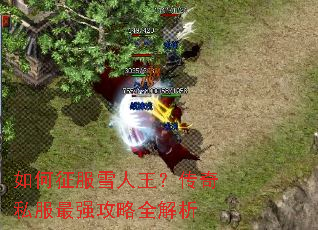 如何征服雪人王?传奇私服最强攻略全解析 如何征服雪人王?传奇私服最强攻略全解析