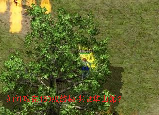 如何攻克180级终极挑战华山派? 如何攻克180级终极挑战华山派?