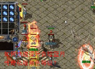 如何快速提升贪玩蓝月传奇私服角色等级? 如何快速提升贪玩蓝月传奇私服角色等级?