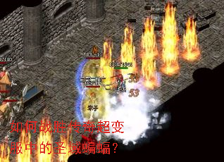 如何战胜传奇超变服中的圣域蝙蝠? 如何战胜传奇超变服中的圣域蝙蝠?